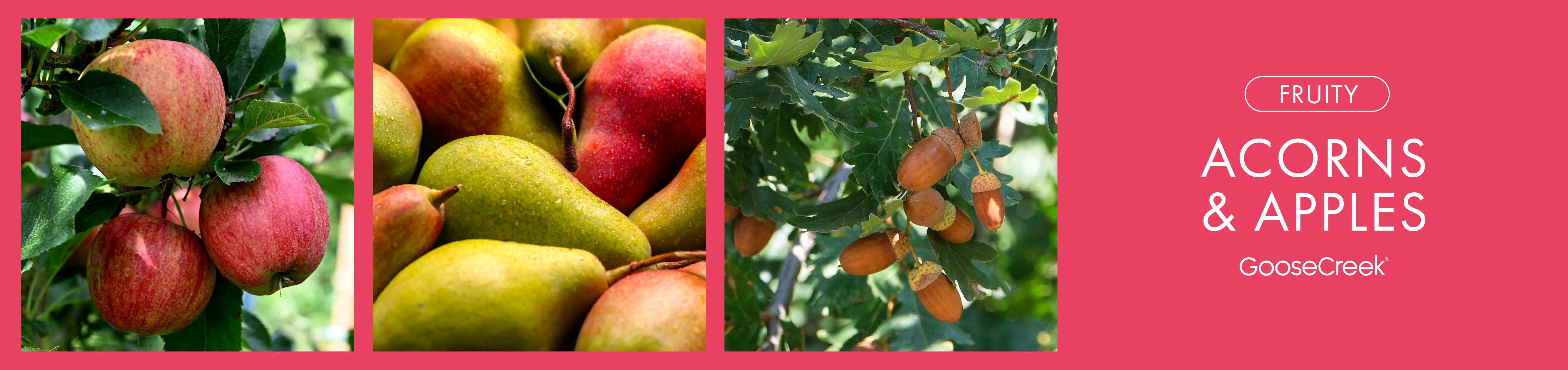 Acorns and Apples Fragrance-Goose Creek Candle