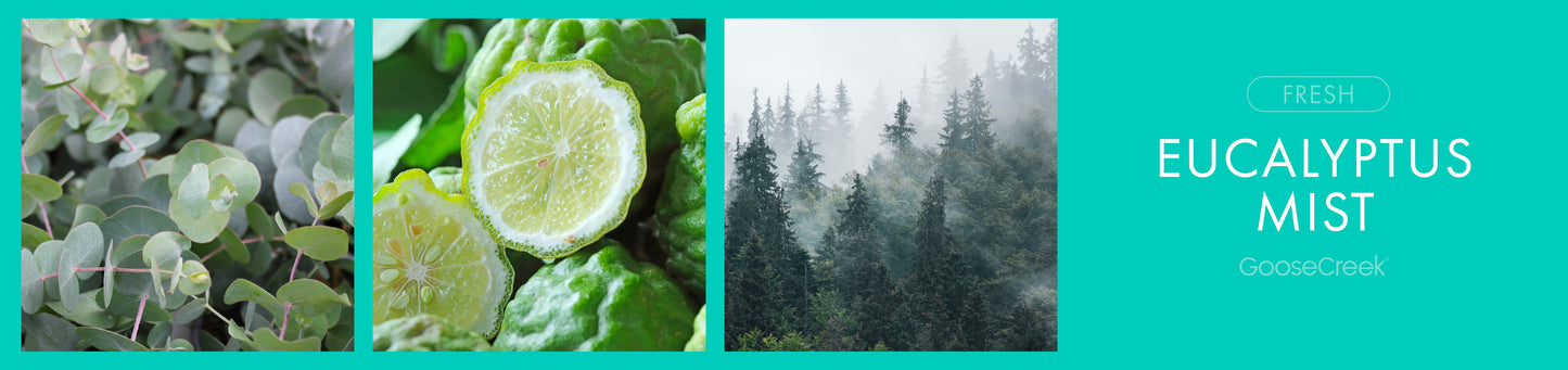 Eucalyptus Mist Fragrance-Goose Creek Candle