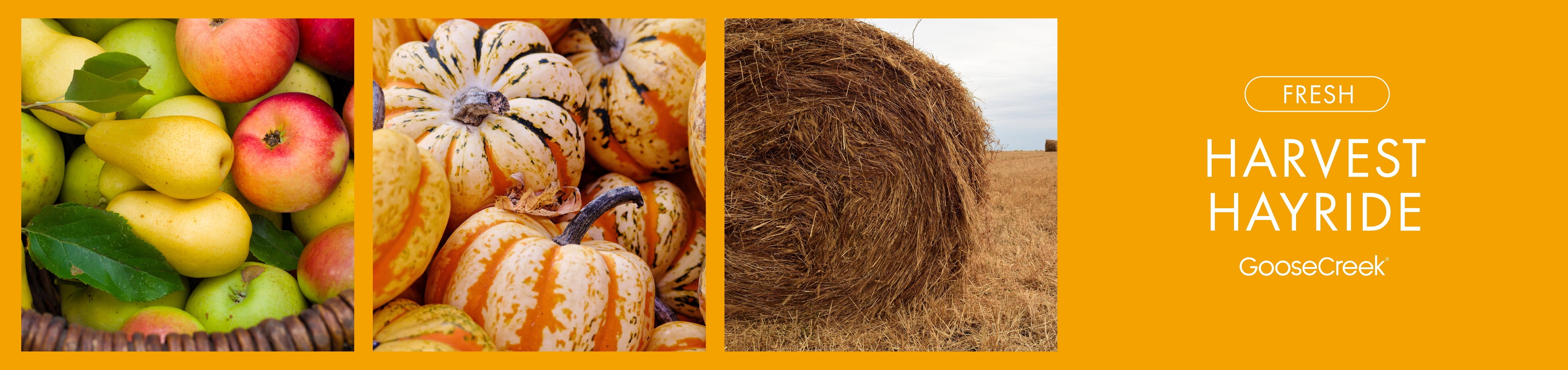 Harvest Hayride Fragrance-Goose Creek Candle