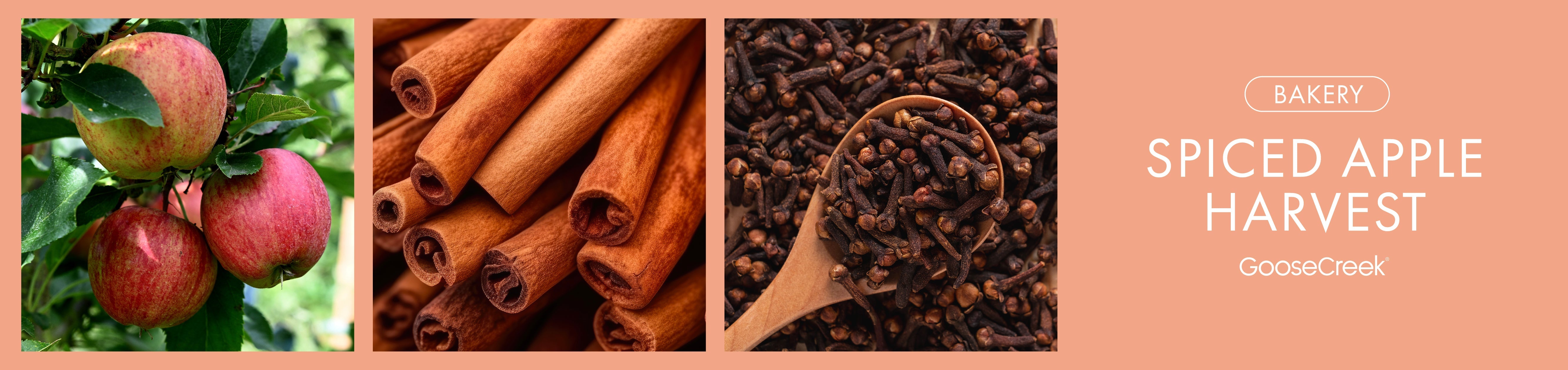 Spiced Apple Harvest Fragrance-Goose Creek Candle