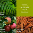 Load image into Gallery viewer, Autumn Fern 3-Wick Candle
