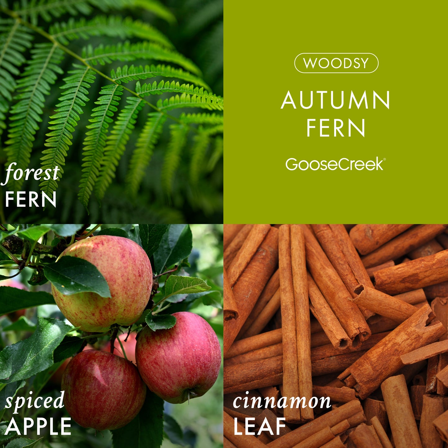 Autumn Fern 3-Wick Candle
