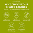 Load image into Gallery viewer, Autumn Fern 3-Wick Candle
