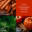 Load image into Gallery viewer, Cinnamon Woods 3-Wick Candle
