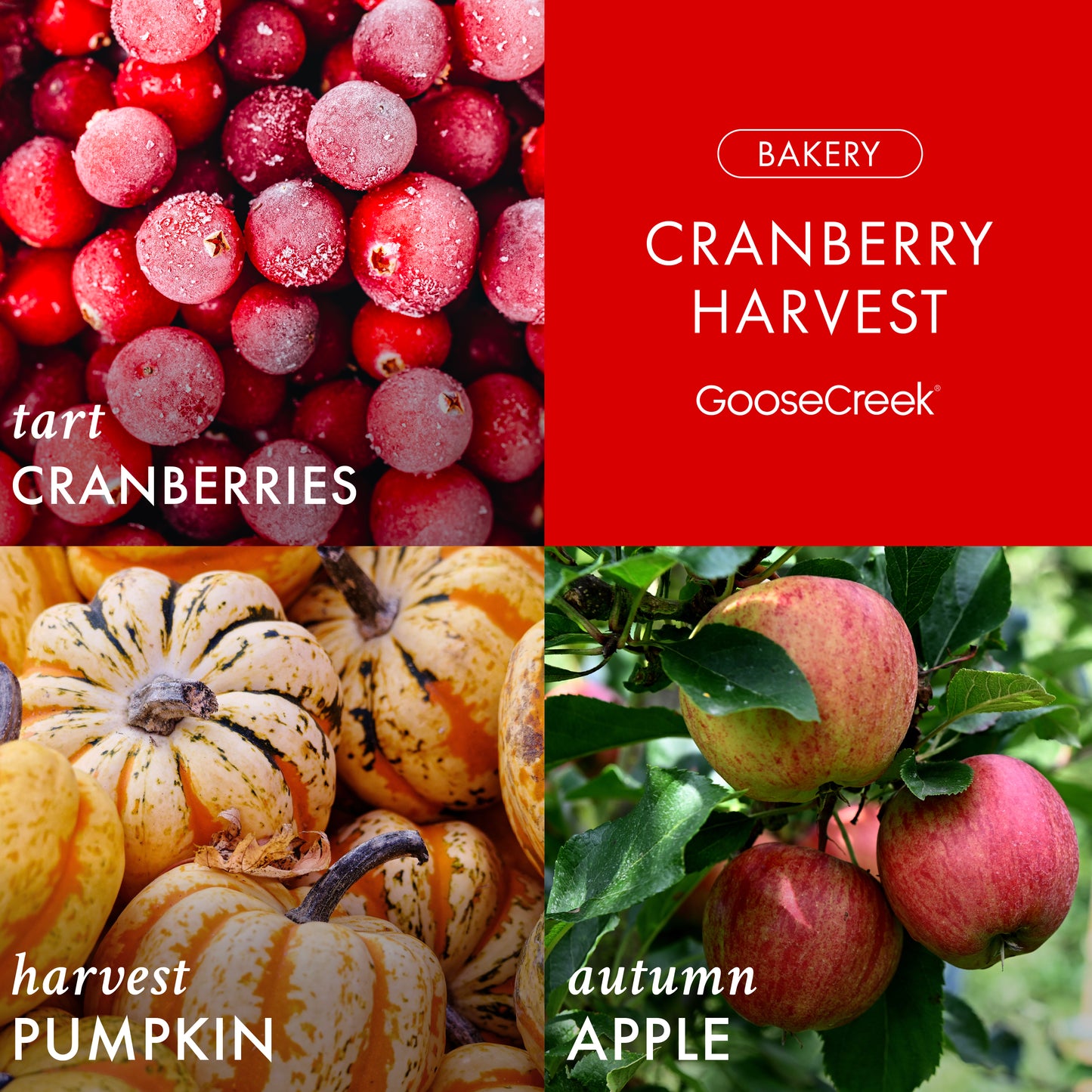 Cranberry Harvest 3-Wick Candle