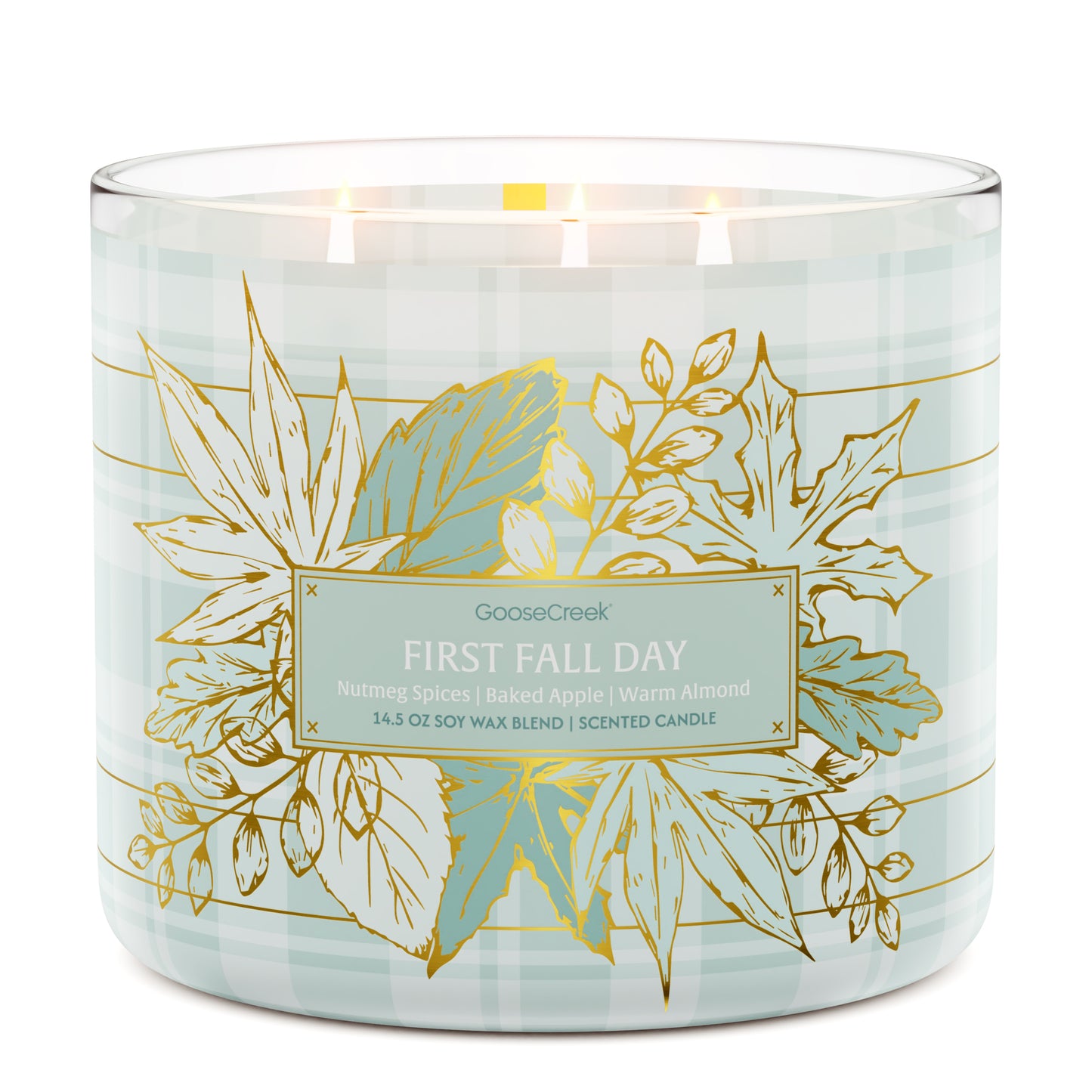 First Fall Day 3-Wick Candle