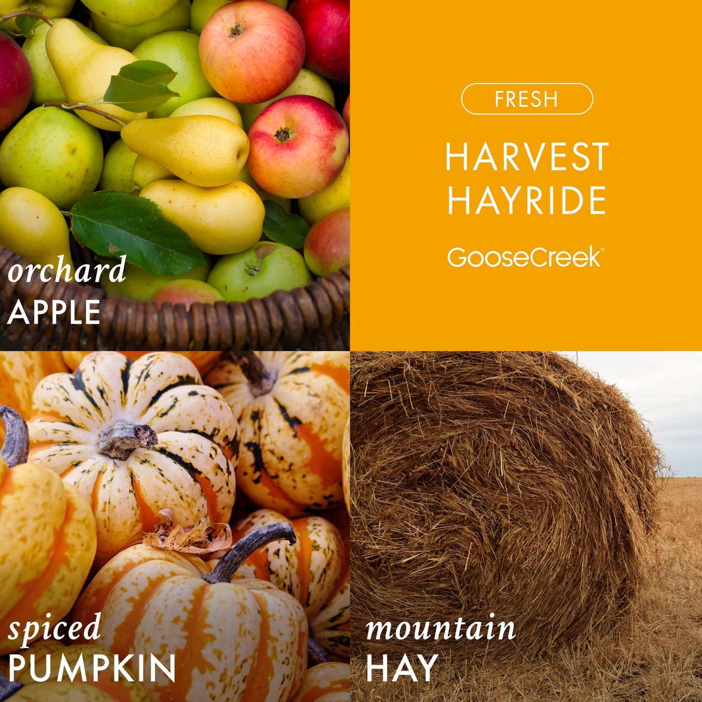 Harvest Hayride 3-Wick Candle