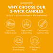 Load image into Gallery viewer, Harvest Hayride 3-Wick Candle
