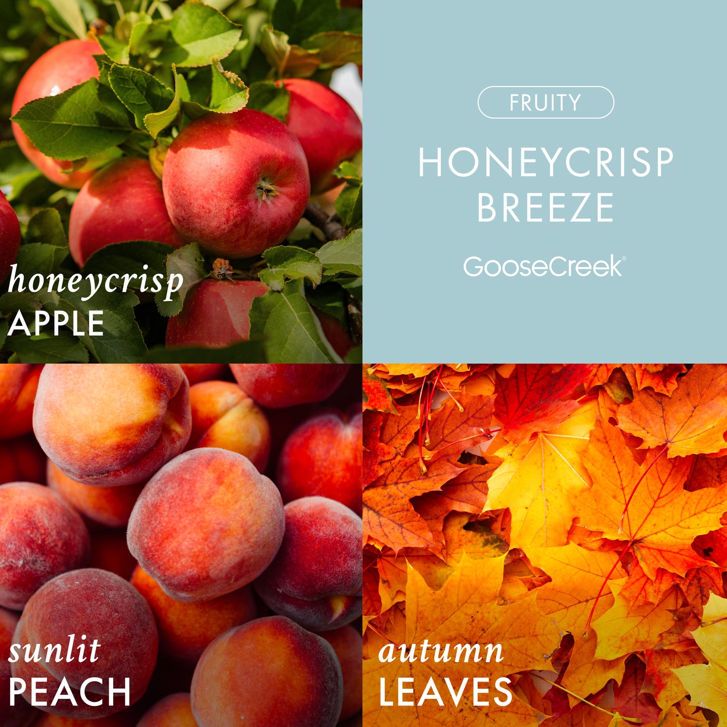 Honeycrisp Breeze 3-Wick Candle