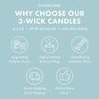 Load image into Gallery viewer, Honeycrisp Breeze 3-Wick Candle
