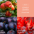 Load image into Gallery viewer, Lovely Leaves 3-Wick Candle

