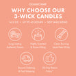 Load image into Gallery viewer, Lovely Leaves 3-Wick Candle
