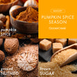 Load image into Gallery viewer, Pumpkin Spice Season 3-Wick Candle
