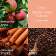 Load image into Gallery viewer, Spiced Apple Harvest 3-Wick Candle
