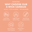 Load image into Gallery viewer, Spiced Apple Harvest 3-Wick Candle
