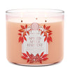 Spiced Apple Harvest 3-Wick Candle