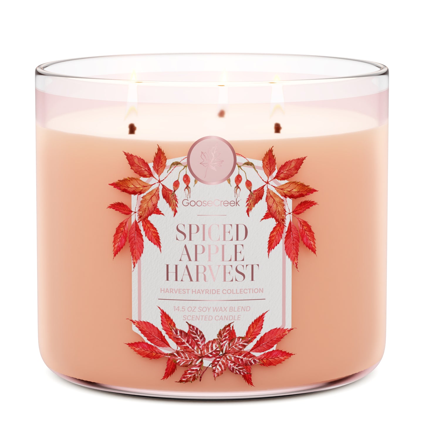 Spiced Apple Harvest 3-Wick Candle